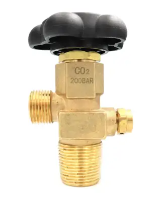 CO2 W21,8 x 1/14 250 Bar